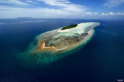 婆罗洲最神奇的探秘之旅,婆罗洲雨林探险