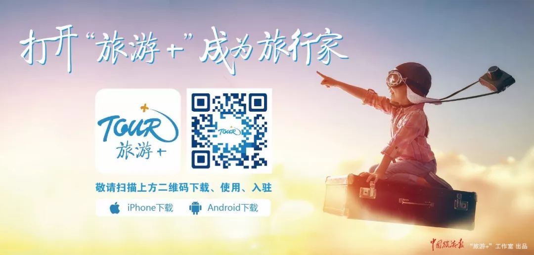 酒店业品牌现状,酒店业经营现状