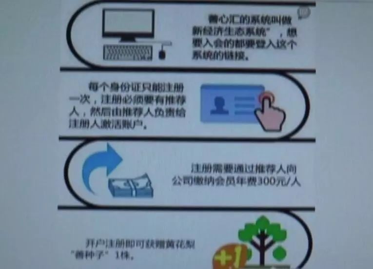 已有多少人被骗500万,善心汇被骗的人会不会有案底