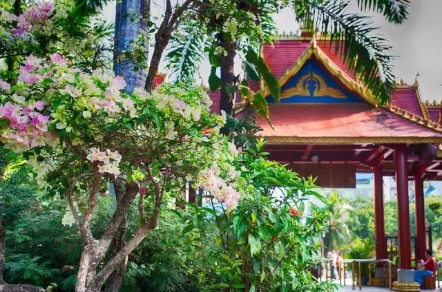 旅游执法的十大骗局,旅游业骗局