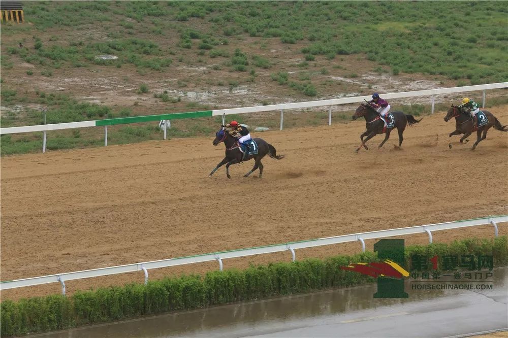 「现场」玉龙今日开锣赛，各路诸侯鏖战百万奖金！马主李勇夺最高奖金，“吉祥如意”马主王福军首战载誉归——1赛马网