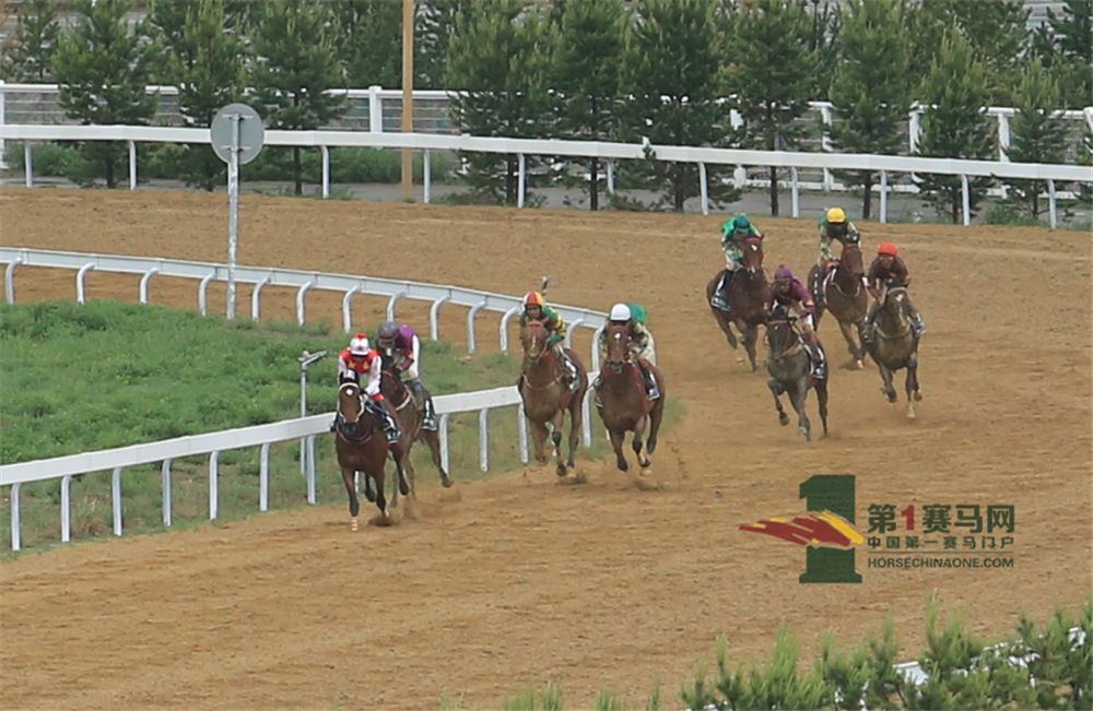 「现场」玉龙今日开锣赛，各路诸侯鏖战百万奖金！马主李勇夺最高奖金，“吉祥如意”马主王福军首战载誉归——1赛马网