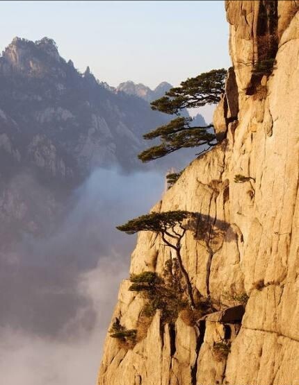 初入社会就想着如何赚钱,30分钟讲解无本钱创业30种方法