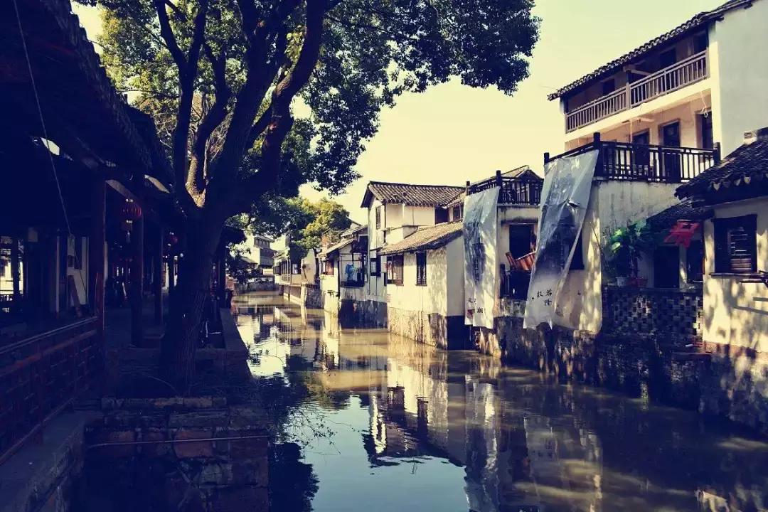 上海一日游必去十大免费景点,上海一日游最佳路线免费景点