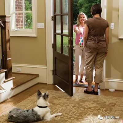 有人进门的时候，狗狗总是发出吠叫怎么办？