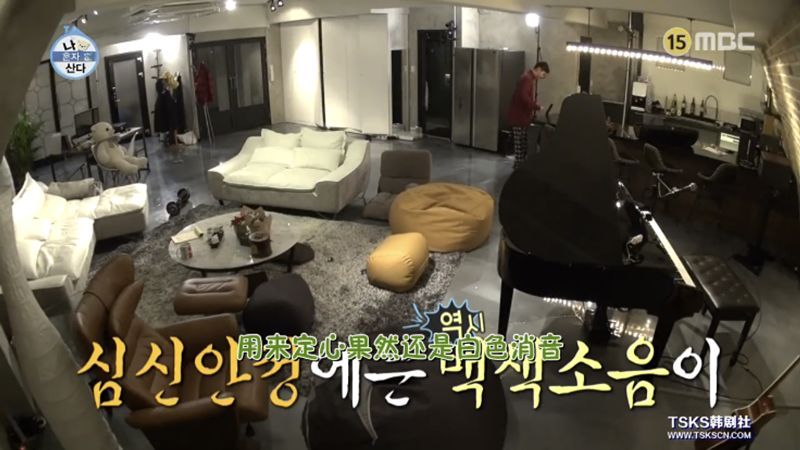 向往的生活被人怼,向往的生活每季装修