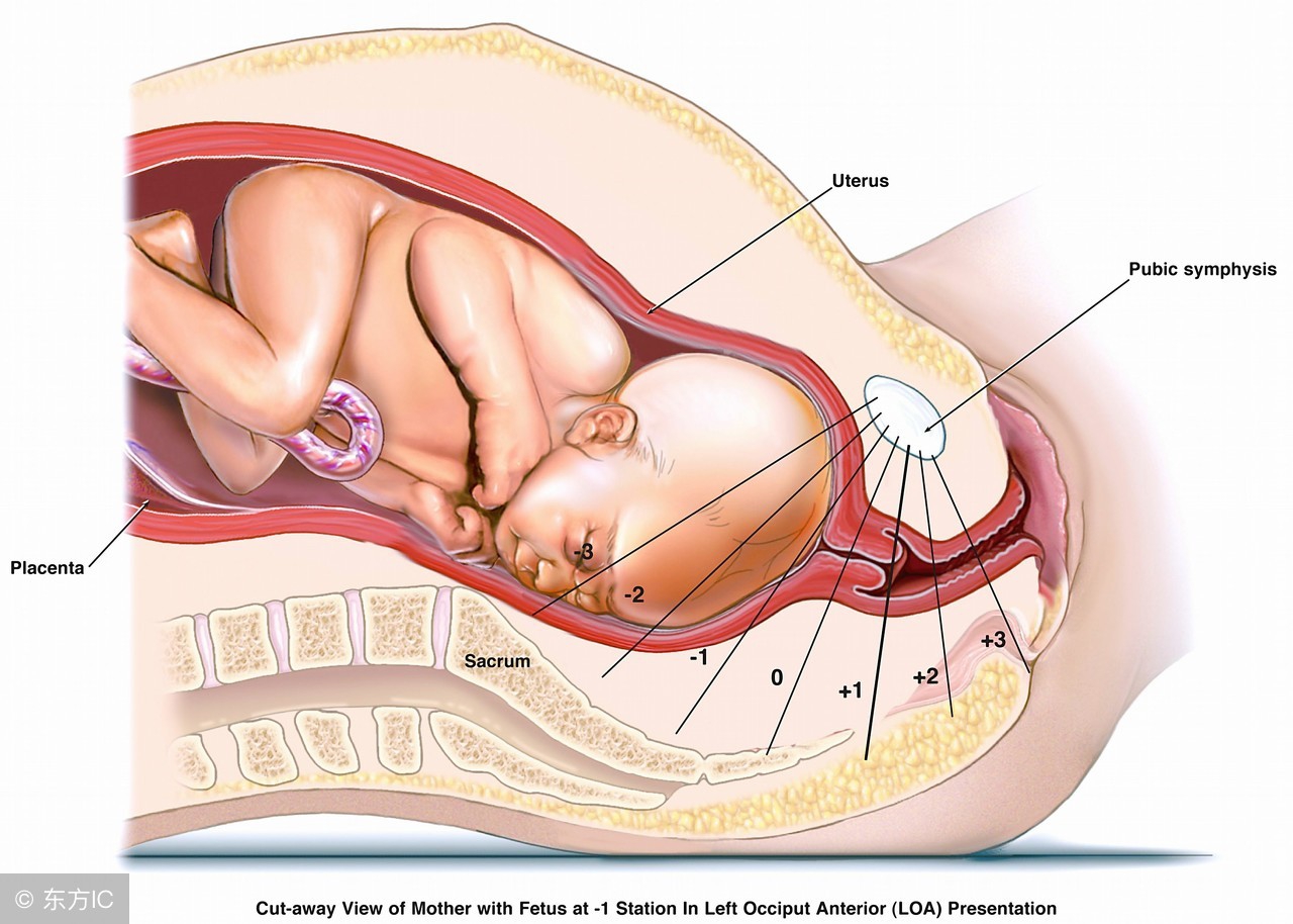 为什么现在建议顺产不建议剖腹产,为什么建议顺产不建议剖腹产