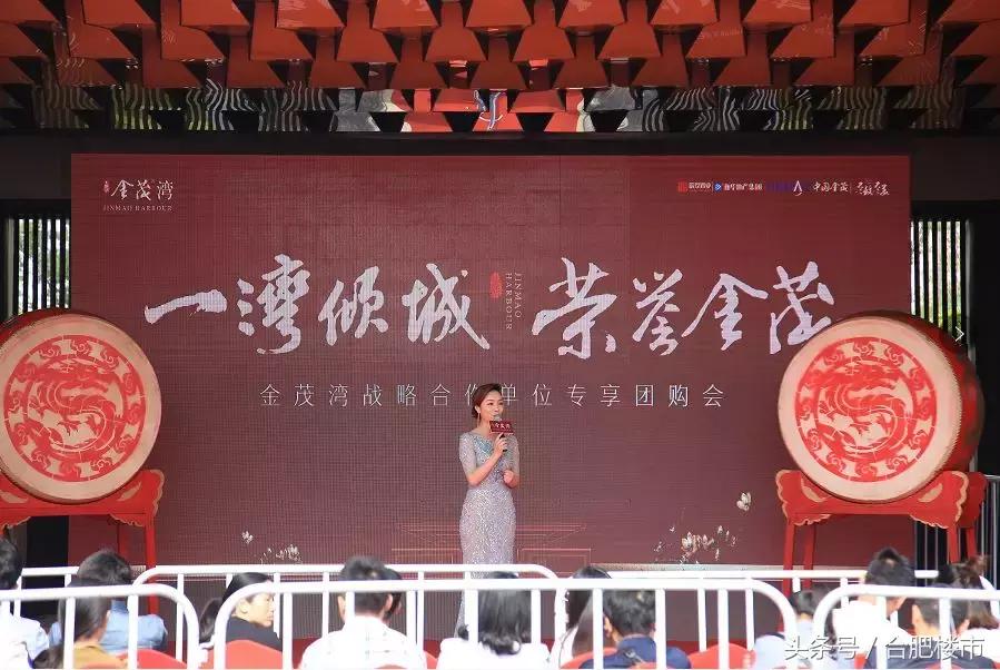 合肥进入“金茂时代”！颠覆市场想象！这19张图片，泄露了所有