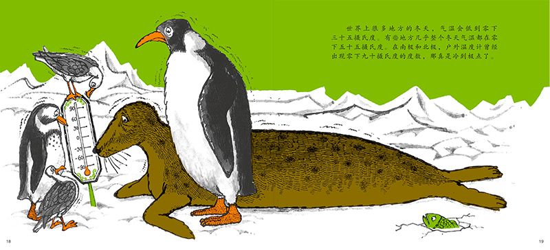 汉声数学全41册,汉声数学系列一套41册