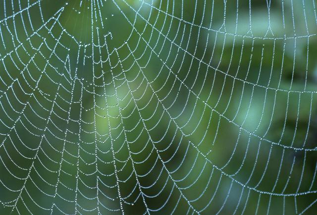 这伙人,以钟表为名,成功骗得3,700万人民币