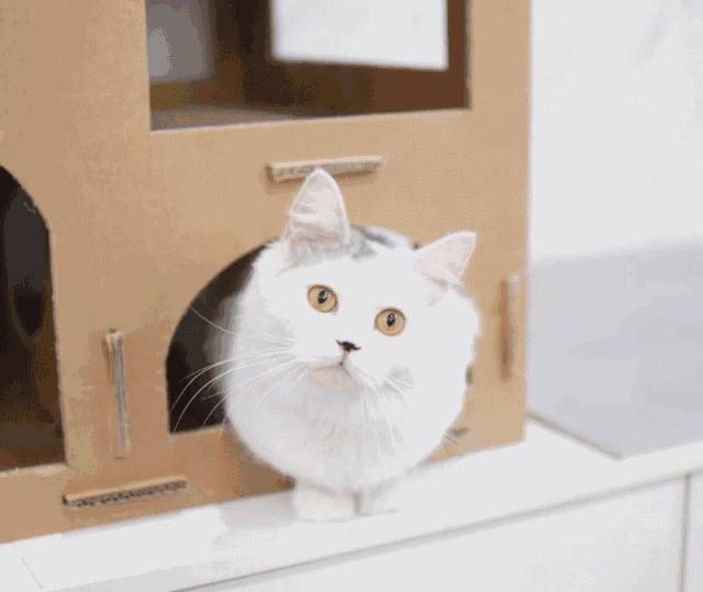 马鞍山有网红打卡基地吗,重庆马鞍山网红打卡景点