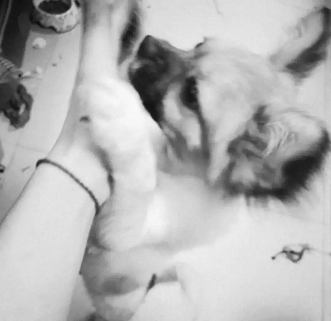 手上的红绳断了,红绳戴久了会断吗