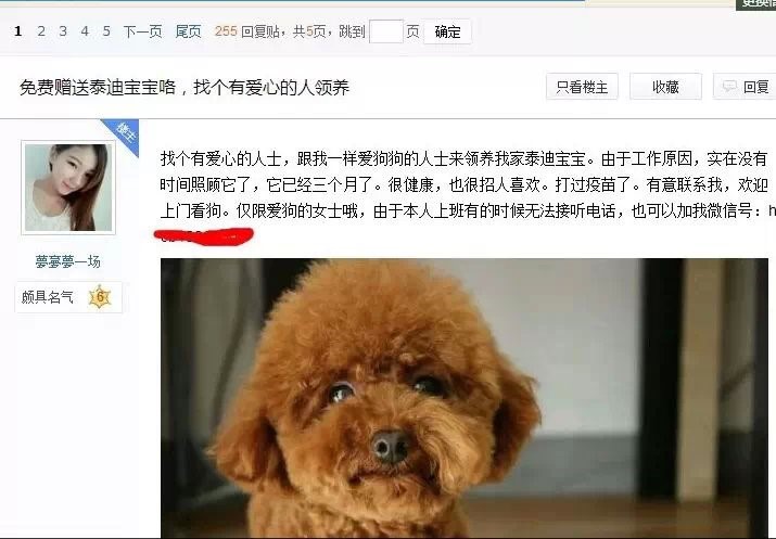 「牛人分享」136种加人方法-大商团队整理