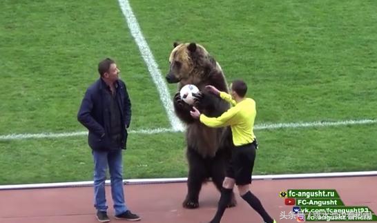 足球世界杯将至场外噱头吸睛诸多“第一次”创造历史