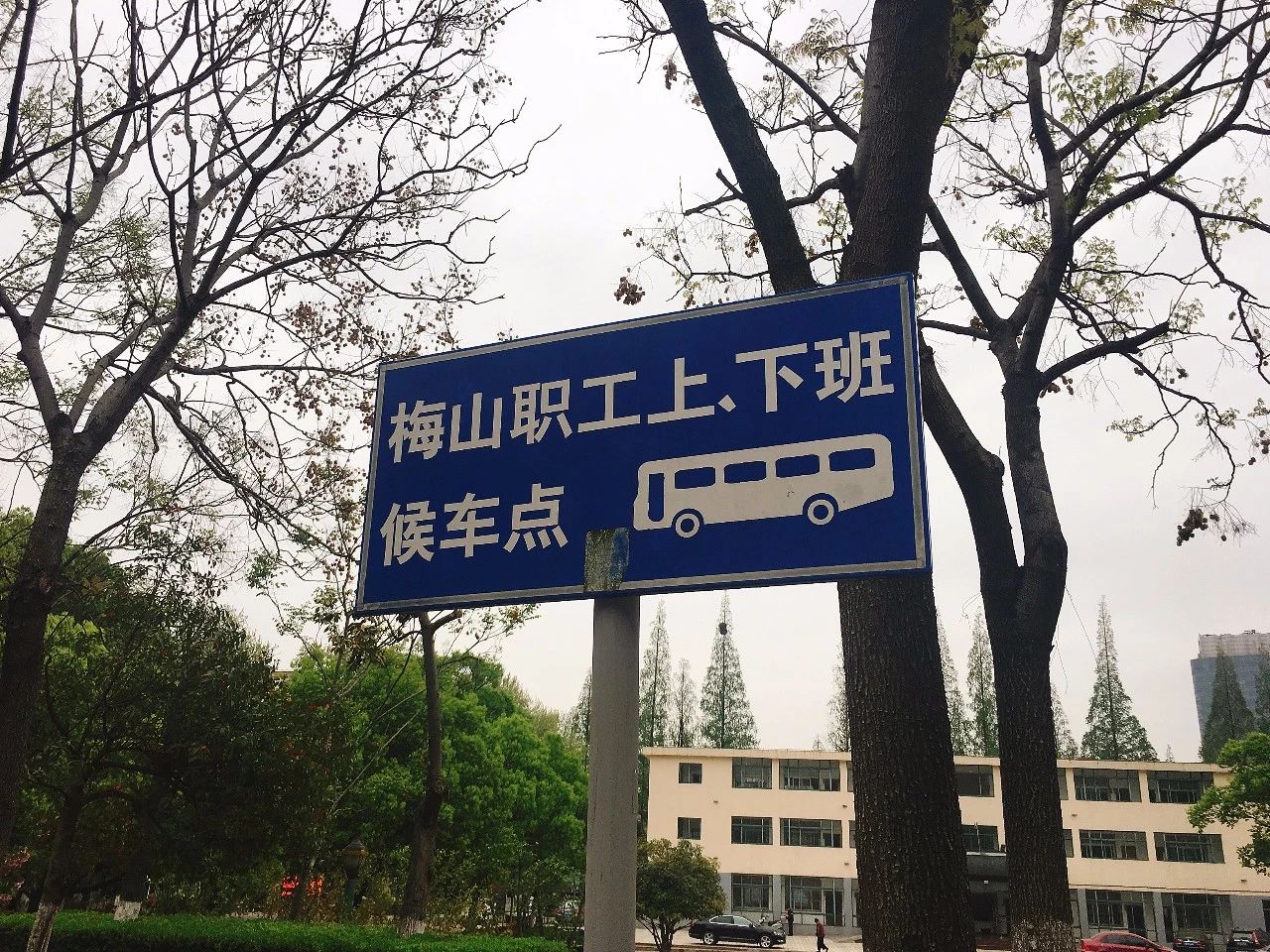 南京的梅山开了没,南京梅山还属于上海吗