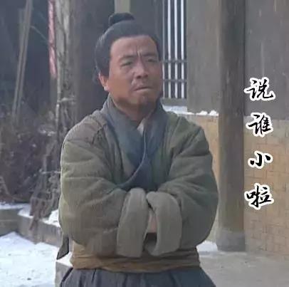 荷兰猪的智商有多可怕,任何时候都不要小瞧每一个人