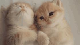 《别瞎买》第27期,过来!教你用200块买到一套兰蔻的护肤品