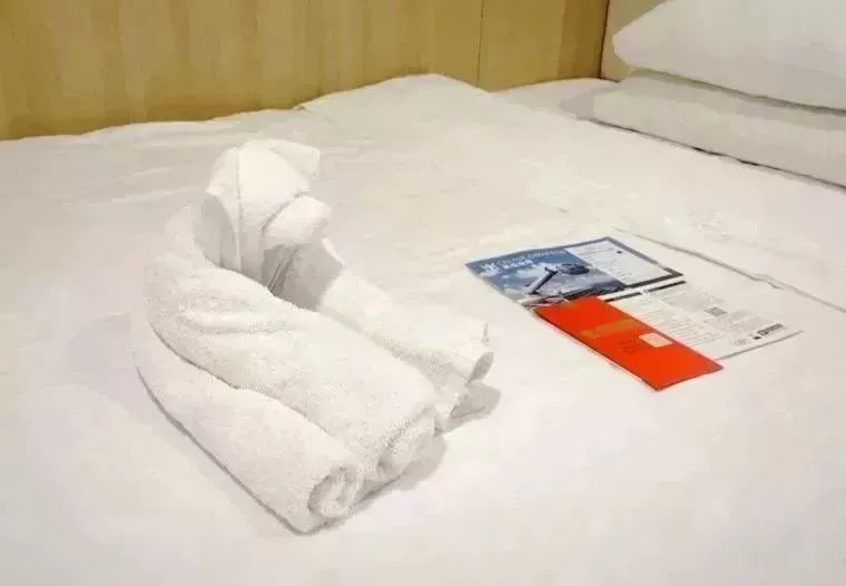 海洋量子号邮轮参观,海洋量子号邮轮航行航拍视频