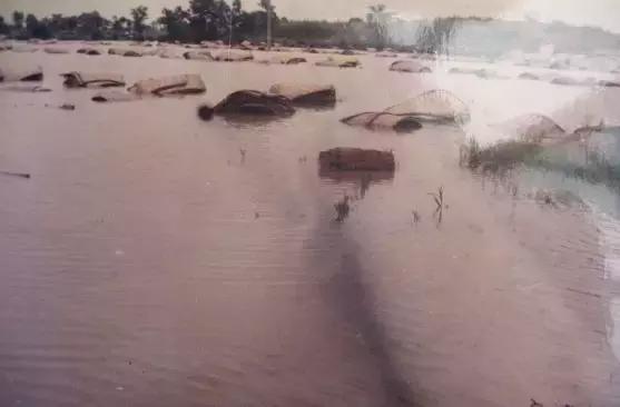 请回答90后的重庆,请回答电视剧90年代