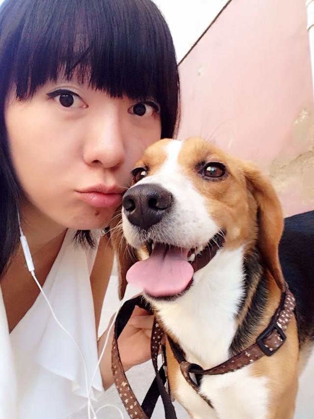 养比格犬注意事项和禁忌,养一只比格