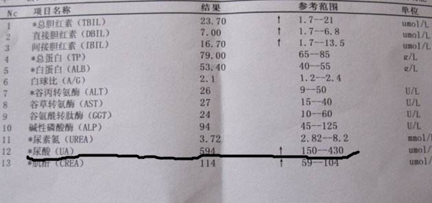 关于痛风与高尿酸血症的讲座总结,高尿酸血症痛风如何正确饮食