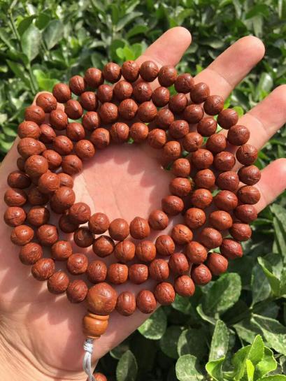 凤眼菩提手串评价分析,凤眼菩提三个点