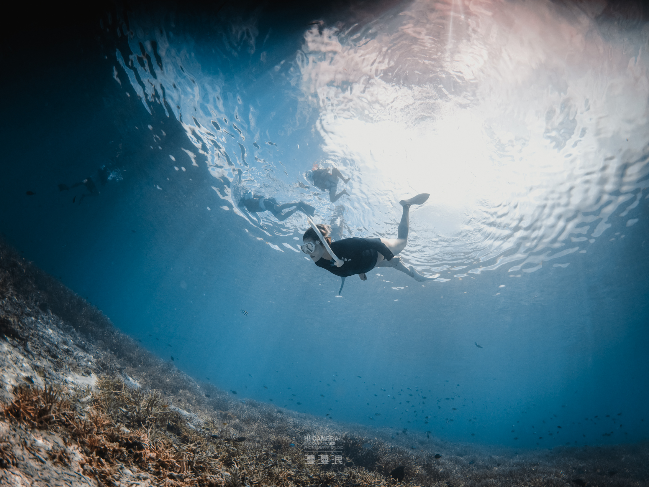 海岛国家｜帕劳最经典的浮潜点也是最值得一去的地方！