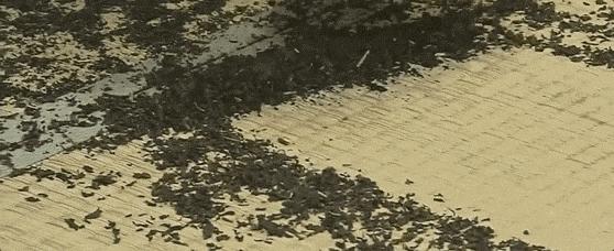 匠人匠心一事终一生,匠人匠心下一句是什么