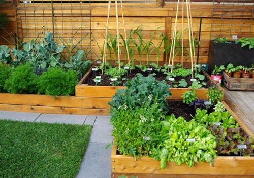 2018火爆赚钱项目图片,农村冷门生意赚钱项目