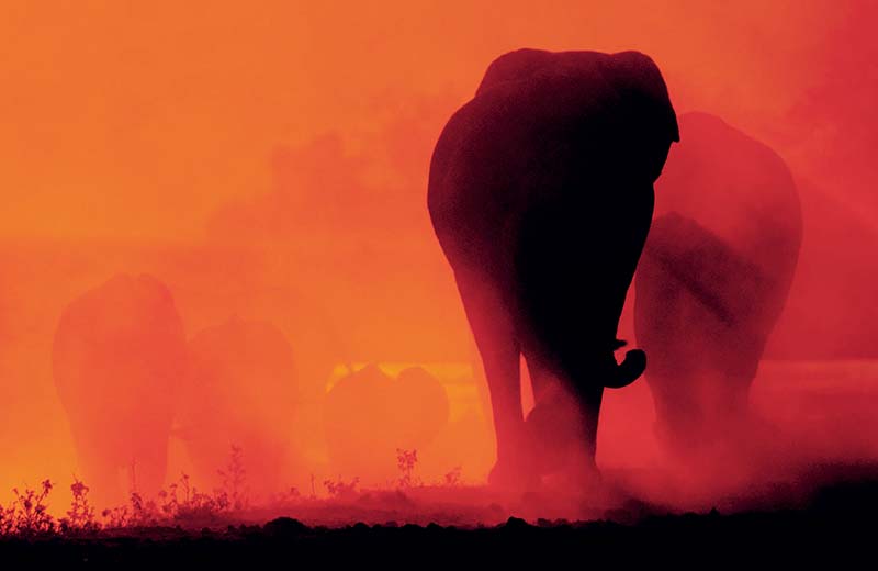 镜头功能介绍大全,怎么发挥手机镜头最大作用