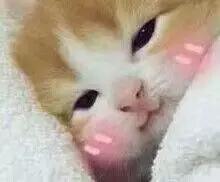 愿你善良自带锋芒温柔且有力量,愿你温柔而坚强善良且有锋芒