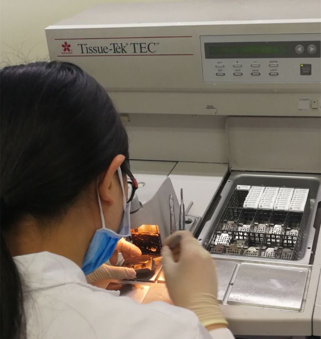 病理报告为什么不能确诊,病理报告为啥什么也没写