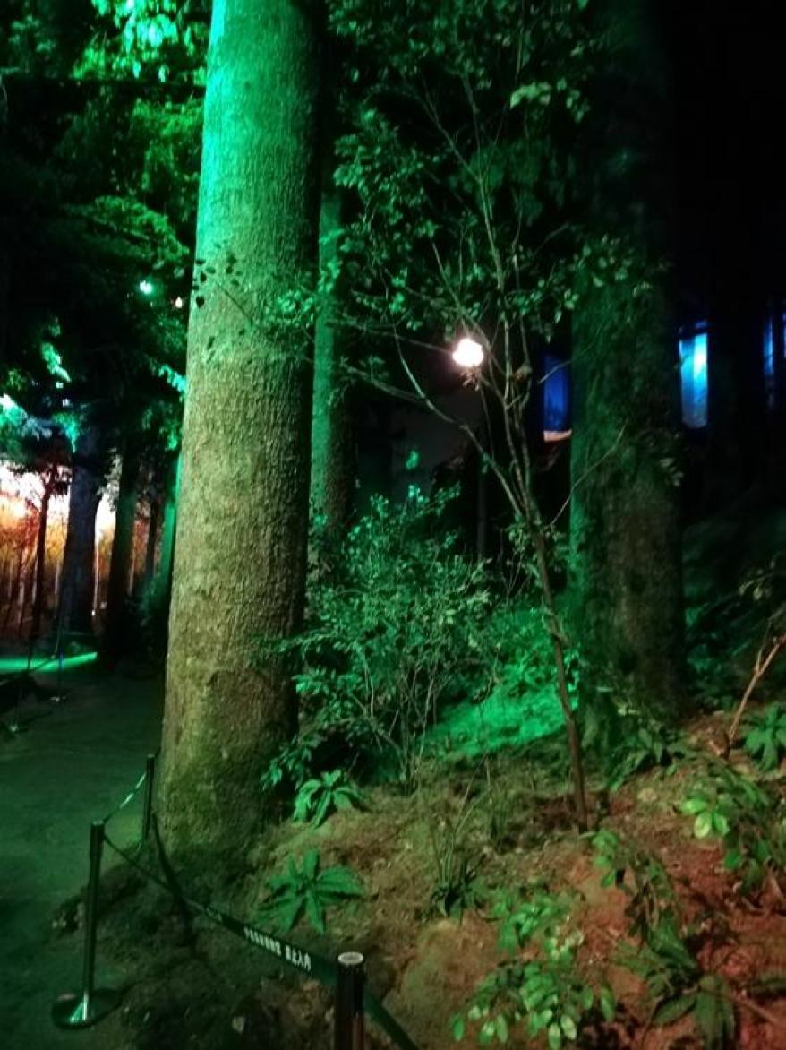 失恋博物馆、珠算博物馆···在*今条头日**上尽情领略博物馆之美