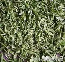 实至名归香甜可口的口粮茶,江西十大名茶你最爱哪一款