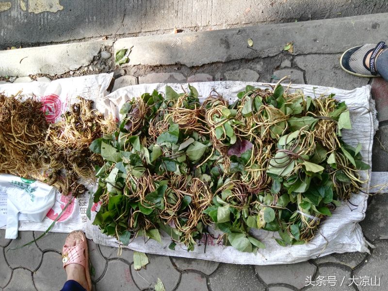 6月18日德昌端午节火爆场面将至，众多中草药先让你辨认，药膳宴等你品尝
