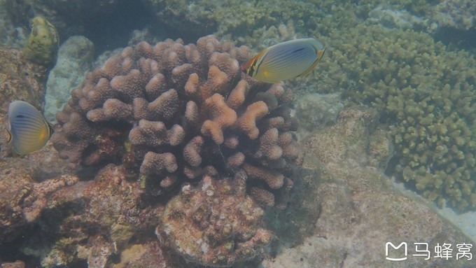 蜜月之都马尔代夫,蜜月旅行之马尔代夫