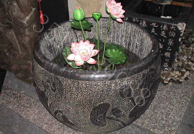 如何用荷花种荷花,盆栽荷花的种植方法和注意事项