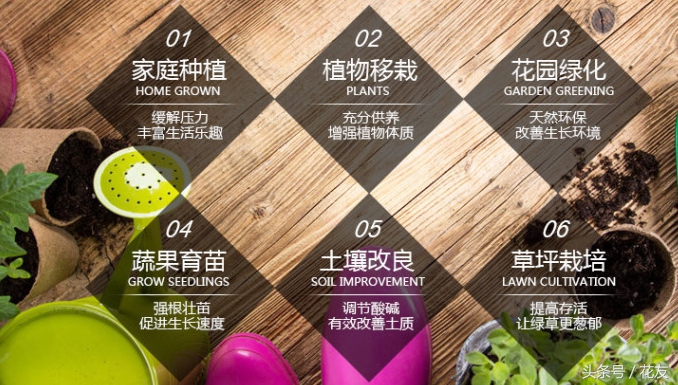 松针肥土怎么制作,松针自制营养土最快的方法