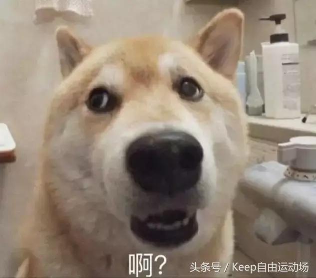 全麦面粉面包测评,全麦面包测评央视