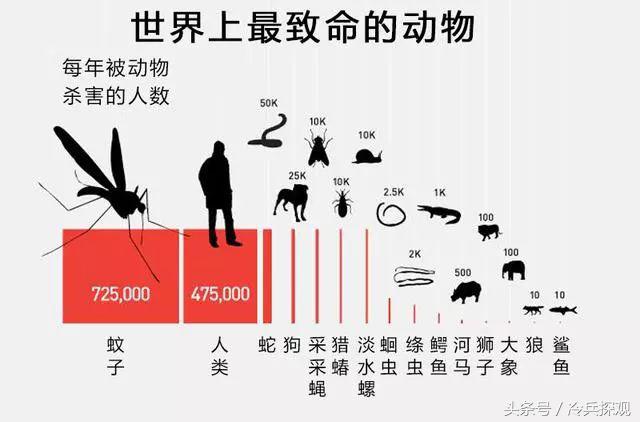 从统计学的角度看世界最致命的事件与生物竟有大发现！