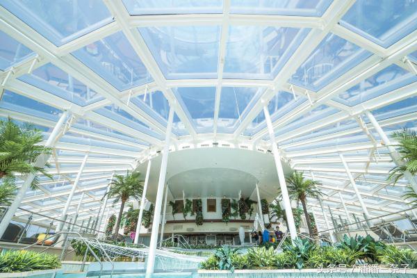 看完才知道以前逛的淘宝都是假的,原来这才是真正的豪华游轮