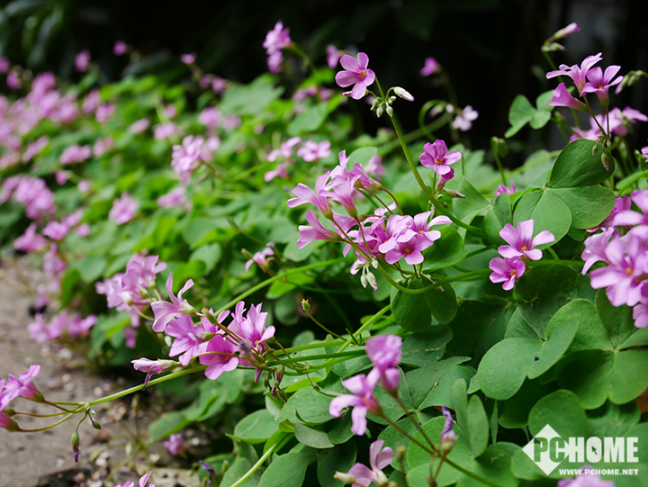鏉句笅gf10娣卞害娴嬭瘎,鏉句笅GF鐩告満鎺ㄨ崘