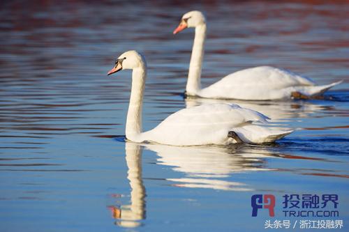 投融界专访国生农牧科技王远孔