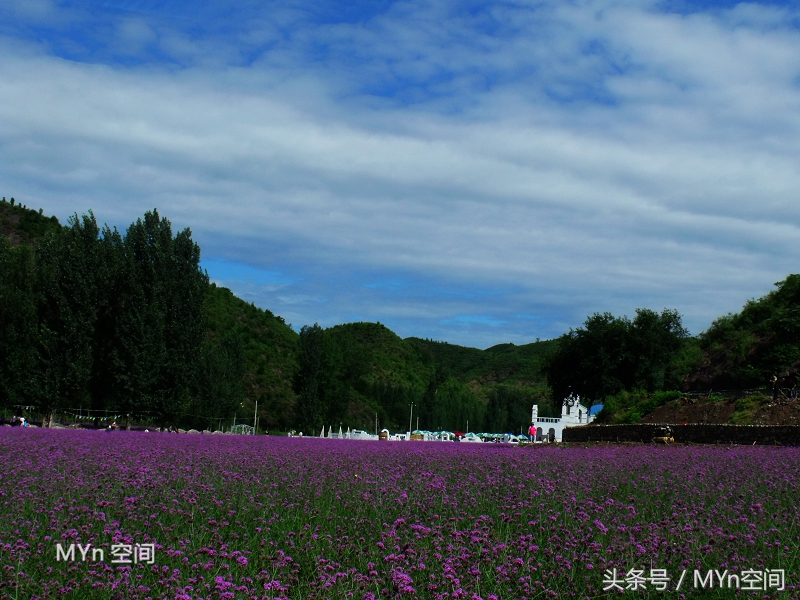 北京京郊游好去处,北京薰衣草庄园风景