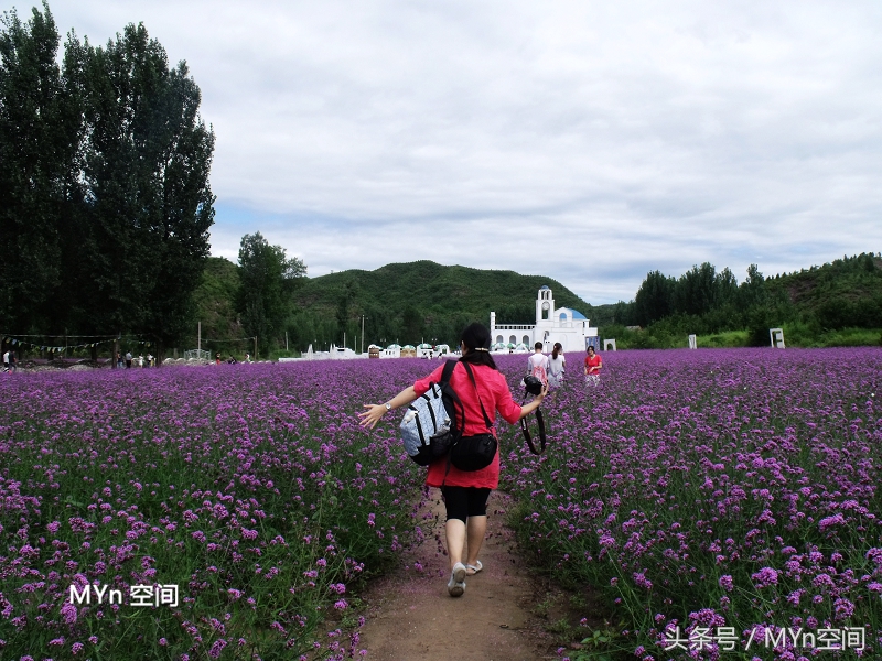 北京京郊游好去处,北京薰衣草庄园风景