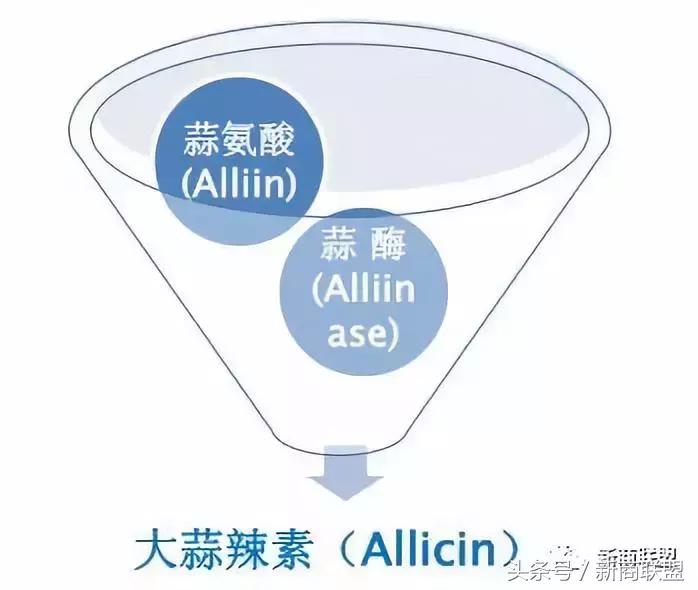 条条大道通罗马：中国民营企业55种融资方式