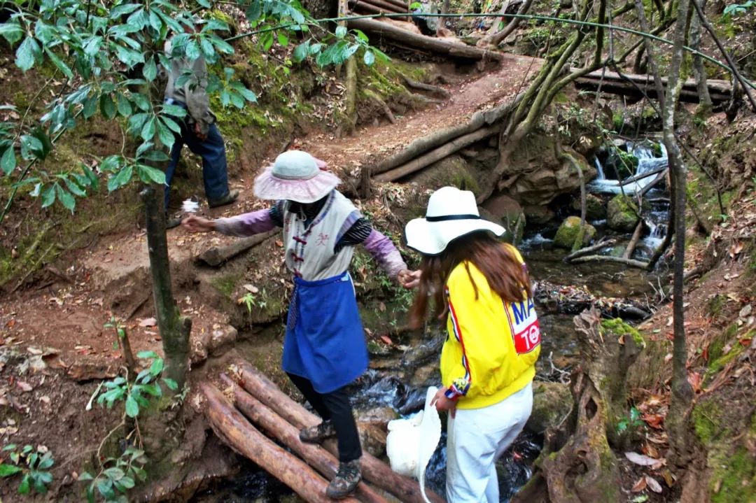 一个人旅行云南丽江,一个人去云南丽江旅行攻略图