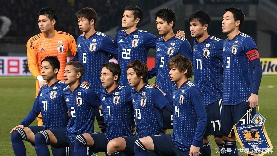 俄罗斯vs日本足球世界杯,奔向莫斯科世界杯