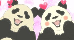 性价比之王广州美食,成都美食性价比之王