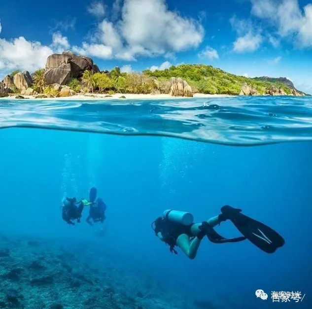 潜水知识小课堂,潜水知识大全